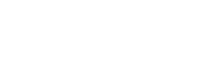 Taste from beijing logo Taste from beijing logo